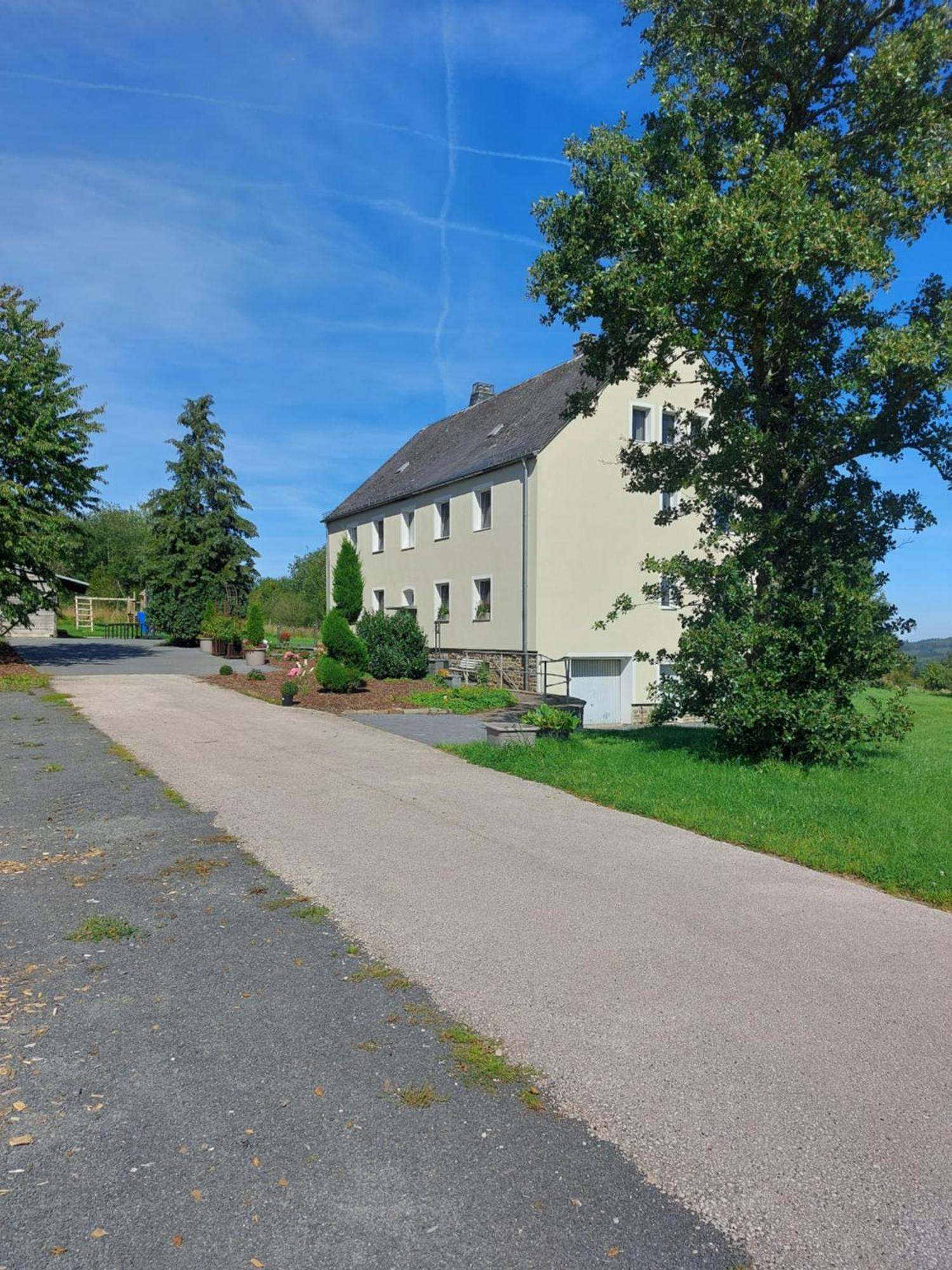 Altes Zollhaus Apartment Hallschlag Luaran gambar
